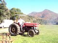 Massey ferguson 140