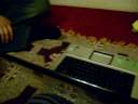 SL270077.AVI SL270077.AVI