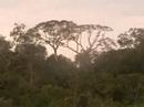 Spot sobre Biodiversidad Spot sobre Biodiversidad