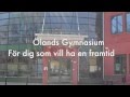 lands Gymnasium Reklamfilm fr restaurang- och livsmedelsutbildningen