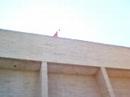 Our Egg Drop Attempt