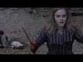 Harry Potter and the Deathly Hallows UNIQUE HD