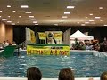 ultimate-air-dogs-dock-diving-at-the-super-pet-expo-i.html