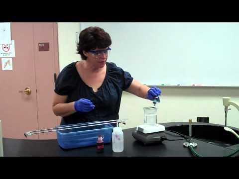 how to perform endospore stain