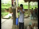 videos de Kokos noot openen met je tanden??? ja het kan!!!!