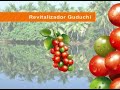 Just Revitalizador de Guduchi