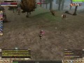 finalhit turk dc