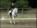 Piloto Do Top at Lake Oswego, Oregon Test 3 - 2
