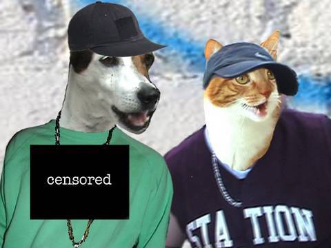 Live Music Show - Animal Music