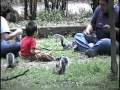 Vivieros De Coyocuan -- Feeding Squirrels by Hand