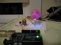 arduino ambient pig in the light arduino ambient pig in the light