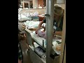 IMG 0247
