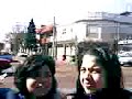 Programa de Flor 2
