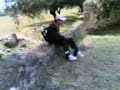 YZ 280F