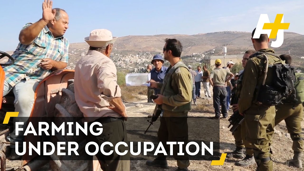 Is Jimmy Carter right that Obama should Recognize Palestine?