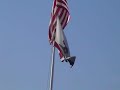 disneyland-flag-ceremony-may-19-2008.html
