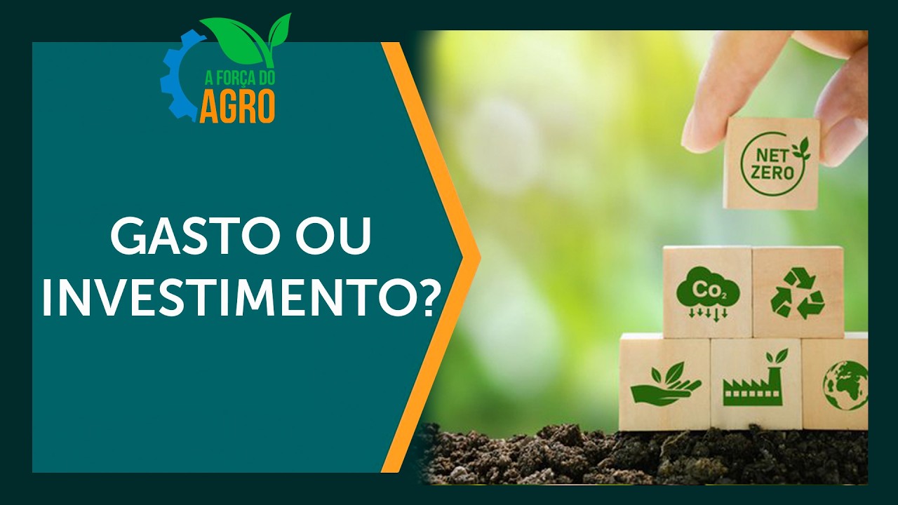 Sustentabilidade: de 'gasto inútil' a segredo do lucro