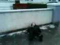 videos de Jennifer's Wee Acident