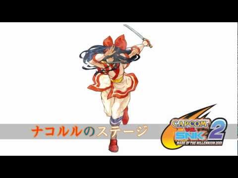 動画