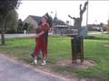 videos de cannettes
