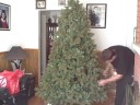 Decorating Tree