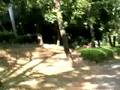 videos de 多摩市永山南公園