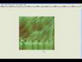 videos de Bbfreeze Picture: Speed Paint