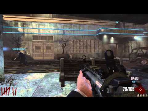Black Ops 2 - Zombies com FunkyBlackCat
