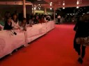 Alfombra Fuscia de Donostia 08
