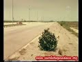 TVC / Advertising / Iklan AMILD - 