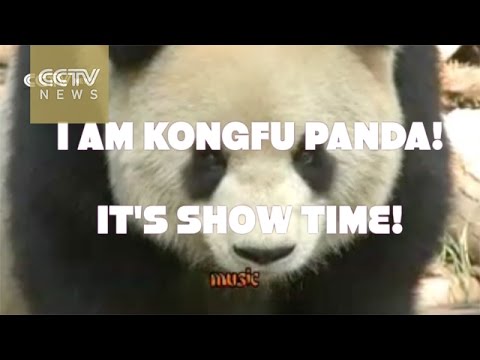 YouTube: ¿este es el verdadero kung-fu panda?