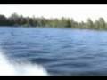 videos de Racing, Lake Fun, Siberian Husky, Flame Point Siamese
