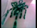 Poecilotheria regalis - handling