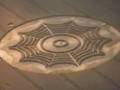 Crop Circle Mix