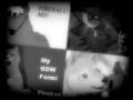 videos de Picz i made in PicNik & My Poochyena Form