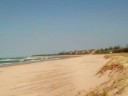 the beach the beach