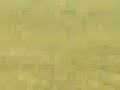 Thumbnail #3