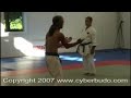 at the terry wingrove organsied budosai in 2007 master higoanna, master gushi, master chen and master pan performed their respective 3 battles forms 
for more information and clips of the events, see here http://www.cyberbudo.com/budosai/2007_video.php for more clips, with demos from all participants, and white crane tao lun from the 2 lineages.

nb commentry states chen jian feng is master pan's student. this is not the case. master chen trained at a wu shu guan in da yuan ( about 3 km from master pan ) -  but the 2 schools are well known to each other.