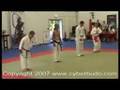 comparitive karate san chiem San zhan