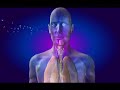 Legionella , Listeria and Mycobacterium (haciendo lo suyo)