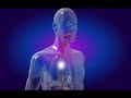 Legionella , Listeria and Mycobacterium (haciendo lo suyo) Legionella , Listeria and Mycobacterium (haciendo lo suyo)