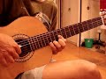 Michelle Guitar