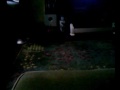 Penii plays fetch