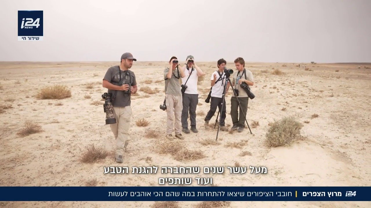 אלופי הנדידה: חובבי הציפורים שיצאו להתחרות – במה שהם הכי אוהבים לעשות