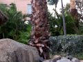 100_3152.MOV