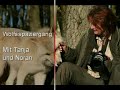 Wolfsspaziergang