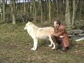 Wolfsspaziergang