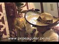 CANTO A LA MADRE - PEPE AGUILAR DEL PERU