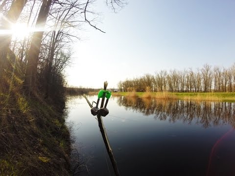 ловить рыбу сома на закидушку ловить рыбу сома на закидушку