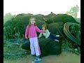 Canción de despedida al tio gruñón